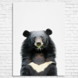 Asian Bear by TaiPrints