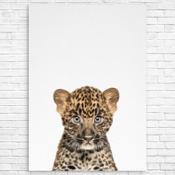 Baby Leopard by TaiPrints