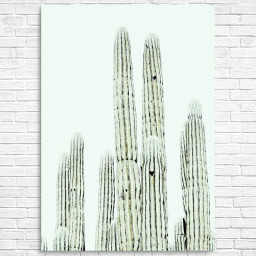 Cacti Neutral Desert by TaiPrints