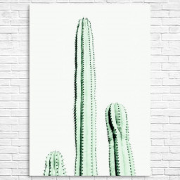 Cactus Plant by TaiPrints
